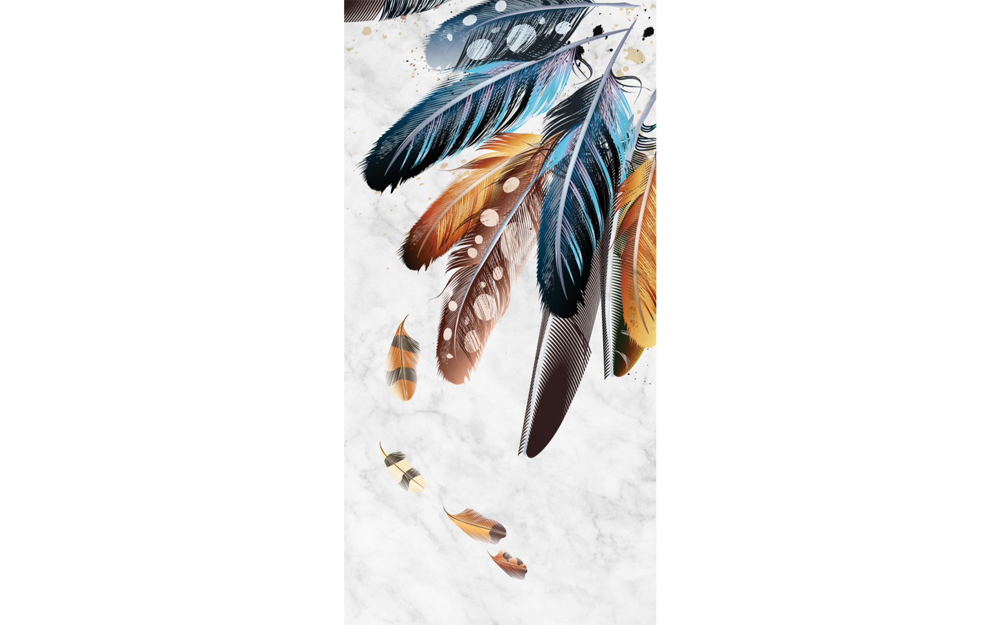Colored Feather