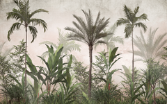 Tropical Haze