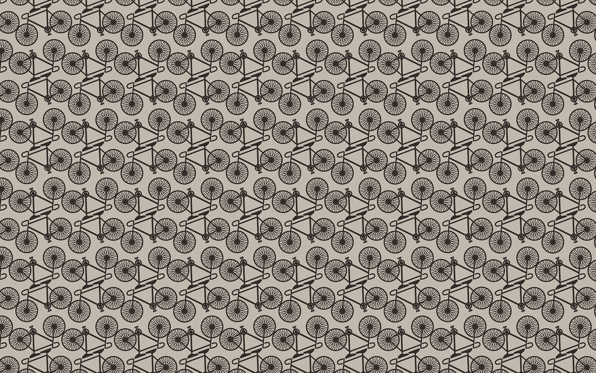 Bicycle Gray BG Seamless