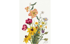 Group of Flowers