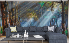 Nostalgic Forest