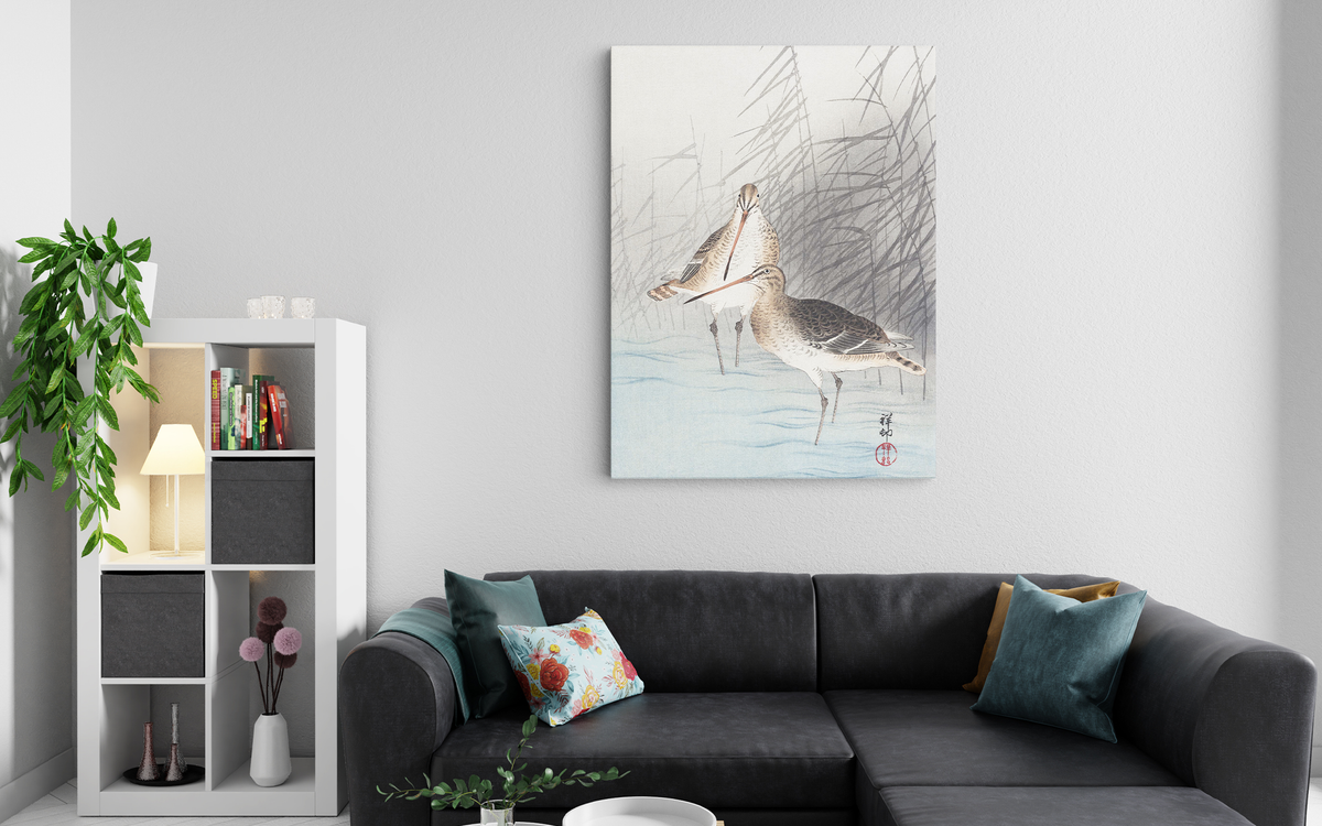 Long Beak Birds