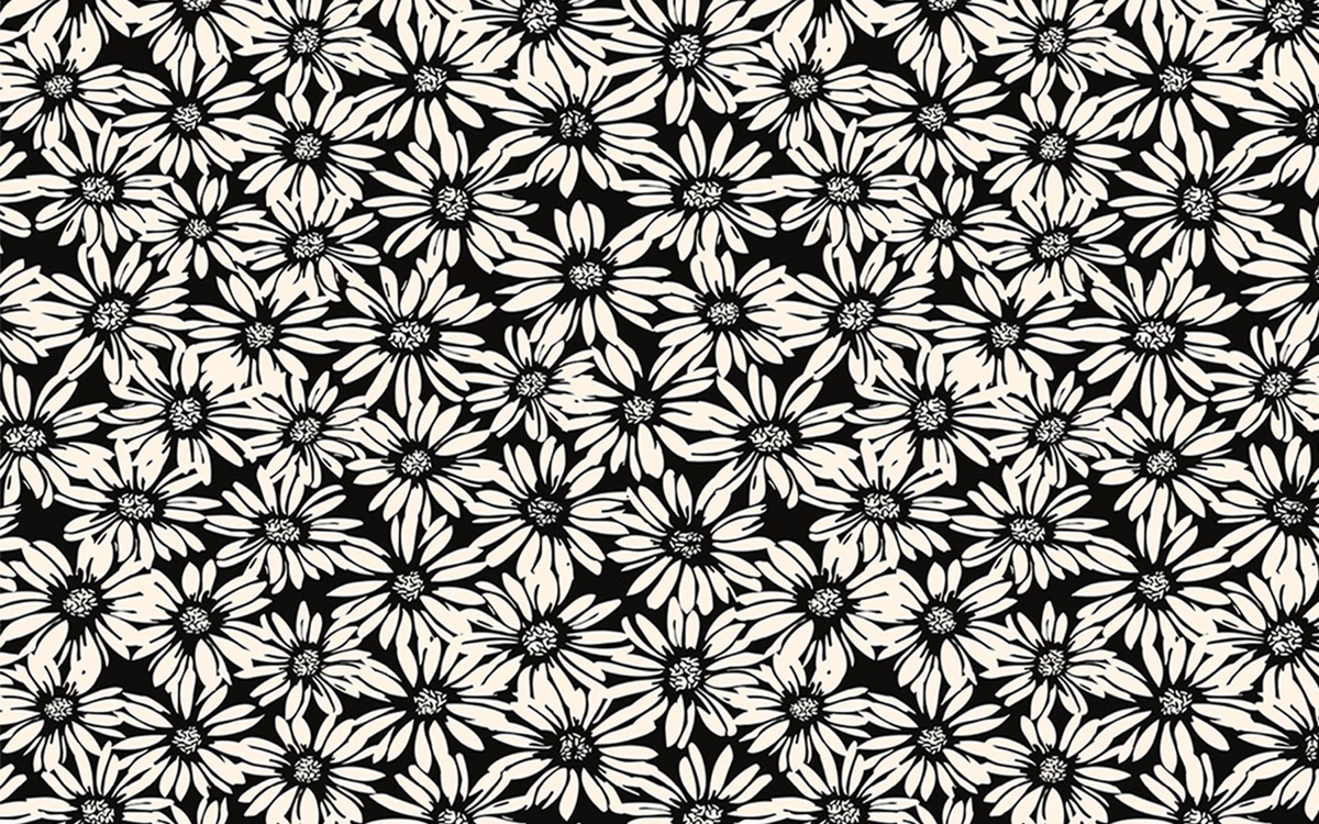 Monochrome Daisies
