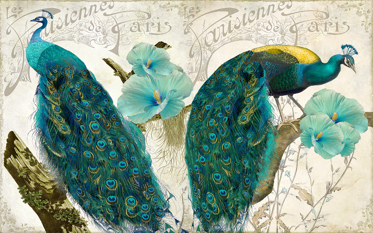 Twin Peacock French Background