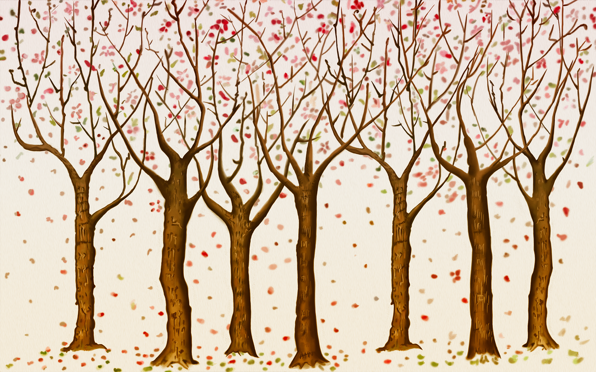 Dainty Forest