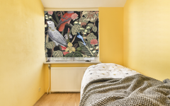 Parrot And Plants Black BG Seamless on Roman Shades