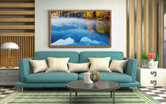 The Painted View