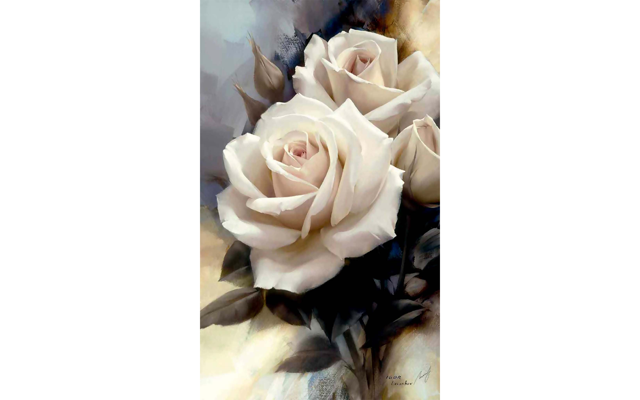 Jumbo White Roses
