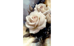 Jumbo White Roses