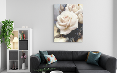 Jumbo White Roses