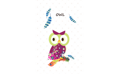 2 Cutie Owl