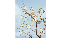 Flowers and Branches