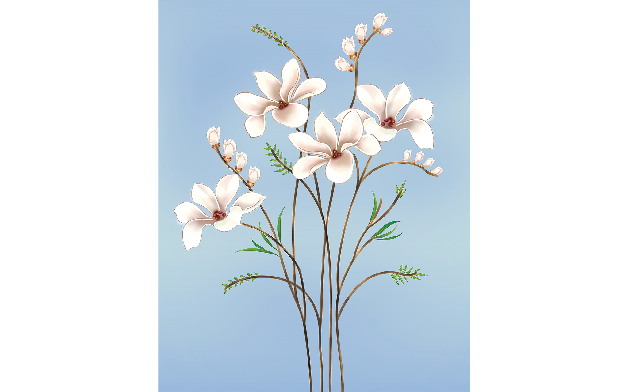 Flowers and Branches