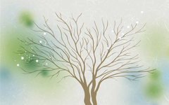 Naked Tree